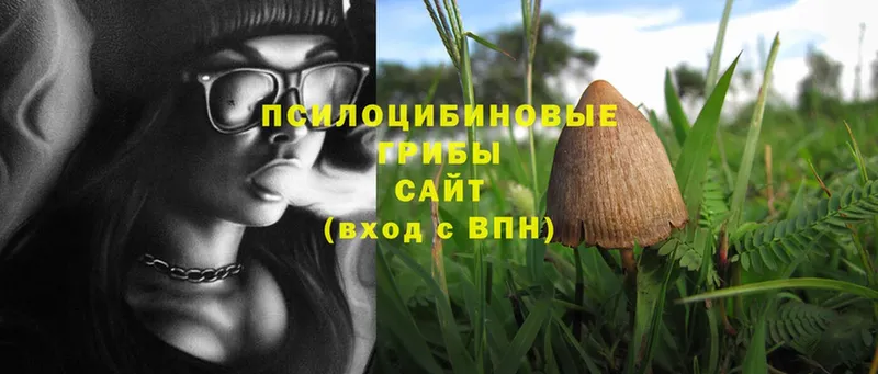 Галлюциногенные грибы Psilocybine cubensis  как найти закладки  Куйбышев 